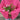 Jocelyn | Soft Oversize Knitted Jumper With Wide Sleeves
