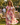 Multicolour Floral Midi Dress – Lace-Up Deep V-Neck Summer Dress