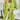 Rosemary | Long Open Front Cardigan with V Neckline